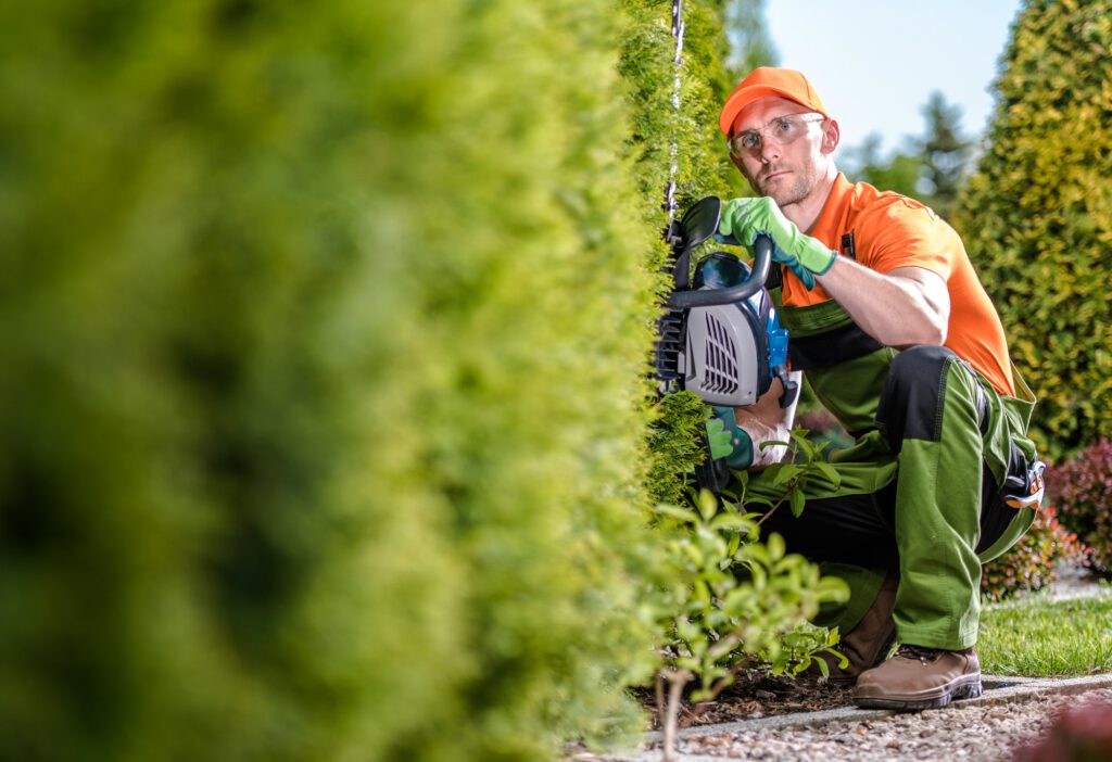 Gardener with Hedge Trimmer